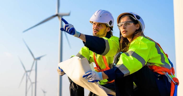 Technical due diligence — Windleaf project work